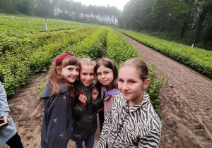 Cztery dziewczynki na tle szkółki leśnej